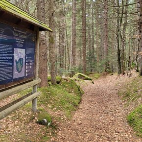 Passeggiata - Masi Caretta | © APT Valsugana e Lagorai