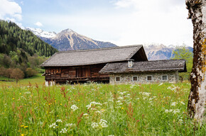 Curio Farm | © Madonna di Campiglio Azienda per il Turismo 