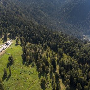 Malga Alta Fazzon | © APT Valli di Sole, Peio e Rabbi