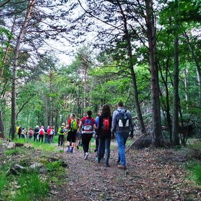Escursione al Monte Barco | © Rete di Riserve Val di Cembra Avisio