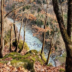 L'Avisio da un affaccio del sentiero | © Rete di Riserve Val di Cembra Avisio