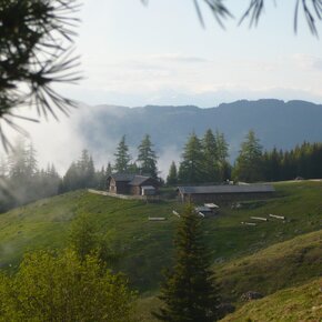 Alpeggi alle pendici del Lagorai | © Rete di Riserve Val di Cembra Avisio