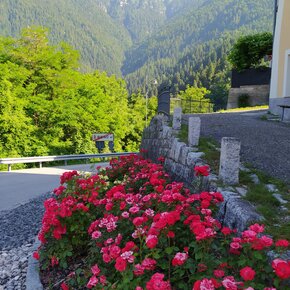 Passeggiata - Laste Castrozza | © APT Valsugana e Lagorai