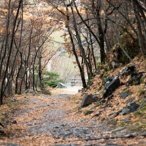Paesaggi di vite | © Rete di Riserve Val di Cembra Avisio