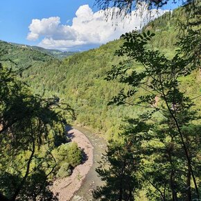 Panorama sul selvaggio ambiente fluviale dell'Avisio | © Rete di Riserve Val di Cembra Avisio