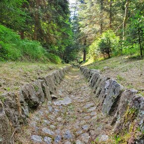 La cava delle bore di Valfloriana | © Rete di Riserve Val di Cembra Avisio