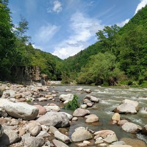 Il Torrente Avisio sotto Valda | © Rete di Riserve Val di Cembra Avisio