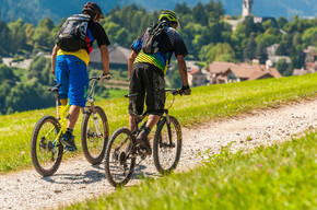 The path above Cavalese | © APT Fiemme Cembra