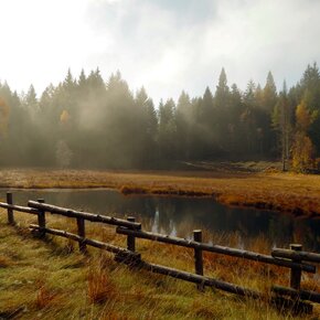 La torbiera del Lago di Valda | © Rete di Riserve Val di Cembra Avisio