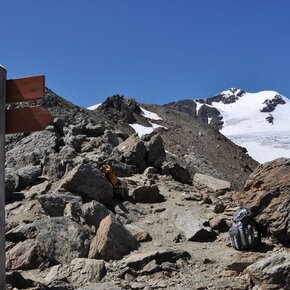 Rifugio Larcher – La Forcola | © APT Valli di Sole, Peio e Rabbi