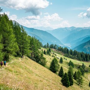 Rifugio Scoiattolo - Malga Saline - Doss dei Cembri | © APT Valli di Sole, Peio e Rabbi