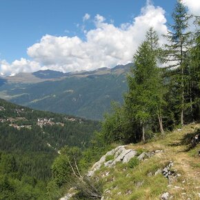 Folgarida – Malga Selva Nera di Carciato | © APT Valli di Sole, Peio e Rabbi