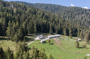 Malga Dimaro | © APT Valli di Sole, Peio e Rabbi