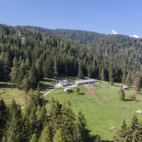 Malga Dimaro | © APT Valli di Sole, Peio e Rabbi