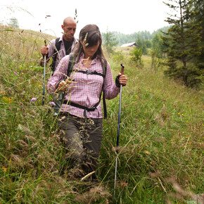 Nordic Walking - Ponte del Salton Tour | © APT Valsugana e Lagorai