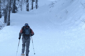 Sentiero ciaspole - Passo 5 Croci | © APT Valsugana e Lagorai