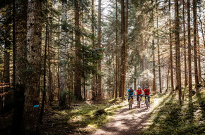 Wiesen di Gaggia - Acqua delle Scudelle - Aussichtspunkt | © APT Dolomiti di Brenta e Paganella