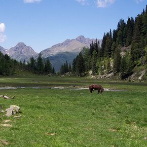 Rifugio Caldenave | © APT Valsugana e Lagorai