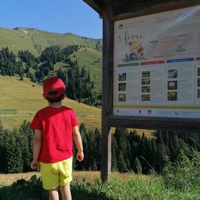 Theme trail - Footpath i mille volti del bosco | © Community
