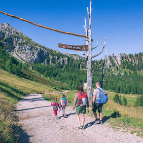 Animal Trail | © APT Val di Fassa