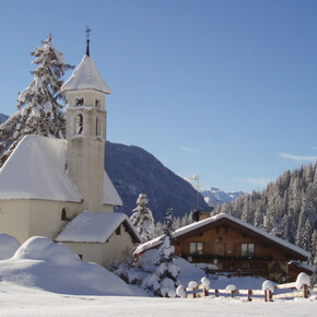 Moena - Malga Peniola ©Archivio APT Val di Fassa | © APT Val di Fassa