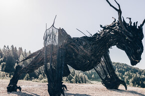 Lavarone Green Land - Drago Vaia - Departure from Frazione Gionghi | © Azienda per il Turismo Alpe Cimbra