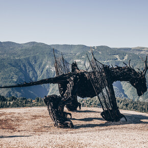 Dragon Path - Drago Vaia Regeneration - Departure from Parco Palù | © Azienda per il Turismo Alpe Cimbra