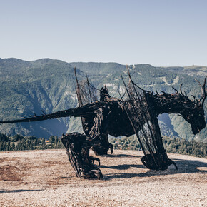 Dragon Path - Drago Vaia Regeneration - Departure from Parco Palù | © Azienda per il Turismo Alpe Cimbra