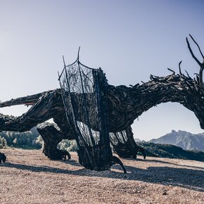 Dragon Path - Drago Vaia Regeneration - Departure from Frazione Bertoldi | © Azienda per il Turismo Alpe Cimbra