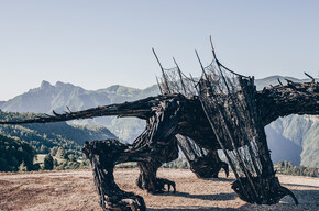 Dragon Path - Drago Vaia Regeneration - Departure from Frazione Bertoldi | © Azienda per il Turismo Alpe Cimbra