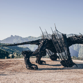 Dragon Path - Drago Vaia Regeneration - Departure from Frazione... | © Azienda per il Turismo Alpe Cimbra