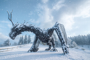 Dragon Path - Drago Vaia Regeneration - Departure from Frazione Bertoldi | © Azienda per il Turismo Alpe Cimbra