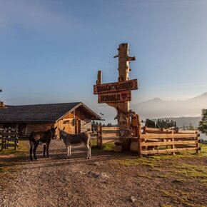 Trekking of the ancient lakes - Day 2 | © APT Trento 