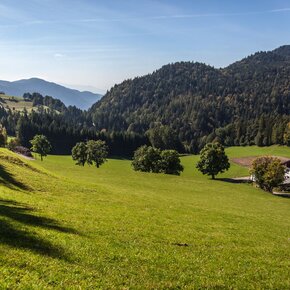 Pochi di Salorno | © APT Trento 