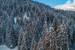 Ciaspolata alla Malga Parisa | © Azienda per il Turismo Alpe Cimbra