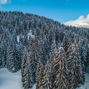 Ciaspolata alla Malga Parisa | © Azienda per il Turismo Alpe Cimbra