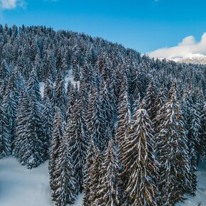 Alpe Cimbra | © Azienda per il Turismo Alpe Cimbra