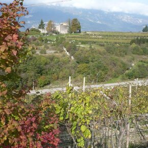 verso il Monte Ghello | © APT Rovereto Vallagarina Monte Baldo