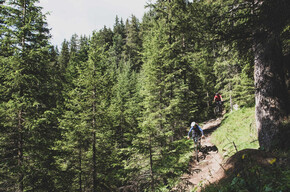 Animal House - Fassa Bike Park Canazei - ©Archivio APT Val di Fassa | © APT Val di Fassa