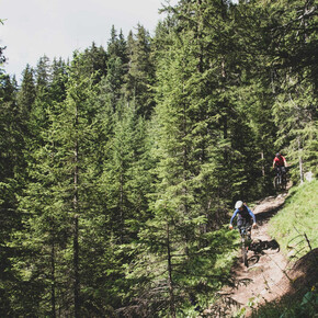 Animal House - Fassa Bike Park Canazei - ©Archivio APT Val di Fassa | © APT Val di Fassa