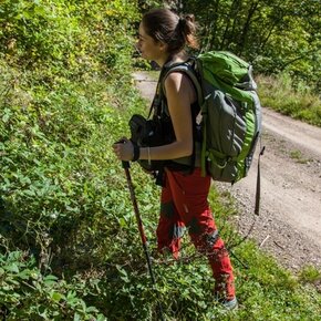 Sentiero Botanico Naturalistico sul Dossone di Cembra | © Rete di Riserve Val di Cembra Avisio