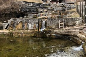 Le vasche della vecchia pescicoltura | © APT Madonna di Campiglio, Pinzolo, Val Rendena