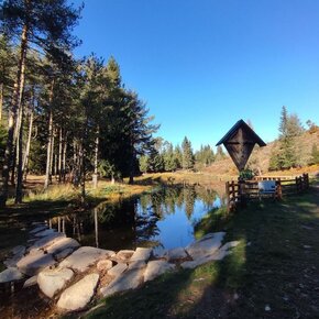 Giro di Bedolpian - il Laghetto delle Rane e la Bellavista | © APT Trento 