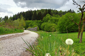 Tour 856 - Orte von Baselga di Piné | © APT Trento 