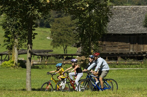 Pista Ciclabile Val Rendena | © VisitTrentino