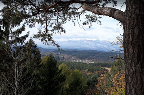 Walk to the panoramic viewpoint of Dos de La Mot - from loc. Poggio dei Pini | © APT Trento 