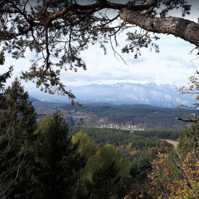 Spaziergang zum Aussichtspunkt Dos de La Mot - ab Ort Poggio dei Pini | © APT Trento 