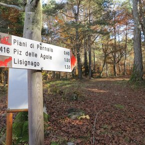 Dalla Maderlina al piz de le Agole | © APT Trento 