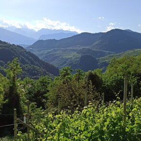 Giro del Monte Gorsa | © Rete di Riserve Val di Cembra Avisio