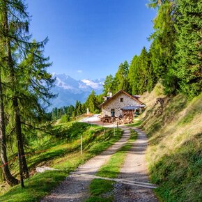 Malga Stabli | © APT Valli di Sole, Peio e Rabbi